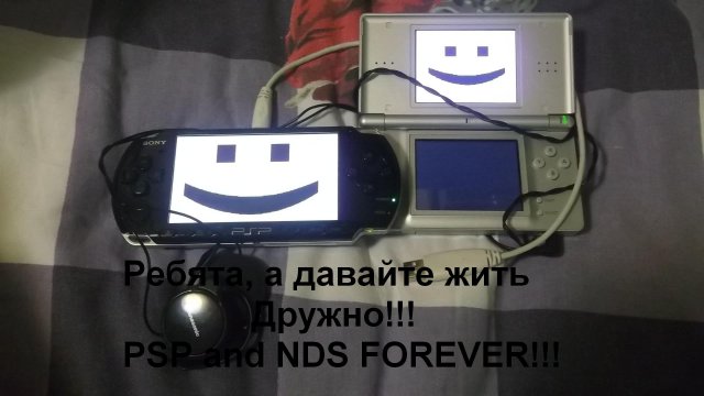 PSP And DS
