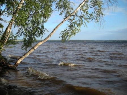 %u041F%u0440%u0438%u0440%u043E%u0434%u0430