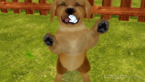 Petz My Puppy Family RUS