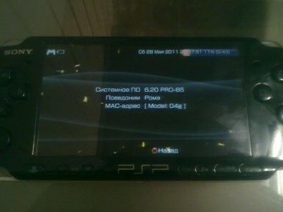  PSP 3008.