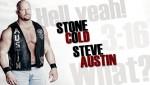 Stone Cold Steve Austin