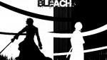  Bleach