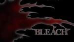  Bleach