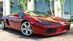 lamborgini gallardo