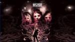 Muse Muse