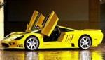 saleen