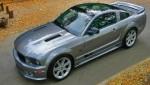 saleen saleen