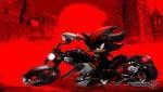 Shadow the hedgehog