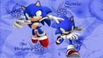 Sonic Model