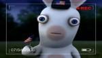Rabbid America