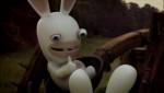 Rabbid OK