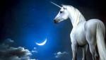 unicorn gazing at the moon
