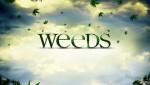 Weeds