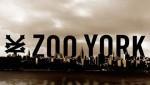 Zoo York