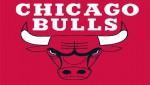 Chicago bulls
