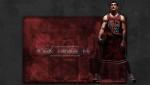 Kirk Hinrich