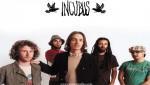 INCIBUS