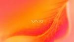  Vaio