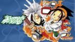 Shaman King