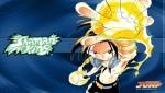 Shaman King