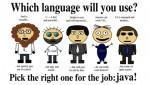 Programmers and java language