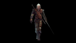the witcher 2