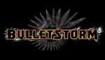 Bulletstorm