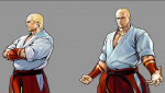 Geese Howard