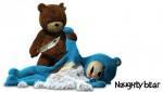 Naughty Bear