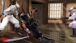 Ninja Gaiden