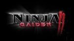 Ninja Gaiden 2