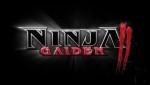 ninja gaiden