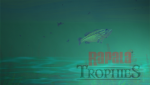 Rapala Trophies