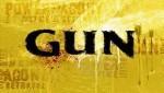Gun