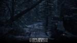 X-Men Origins: Wolverine