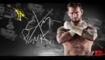 WWE 12 CM Punk