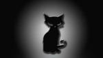 Black cat