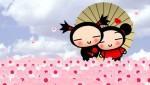 PUCCA 
