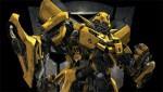 bumblebee bumblebee