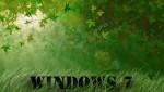 Windows 7