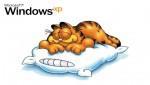 Windows Windows