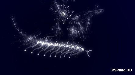 fl0w   PlayStation Portable  