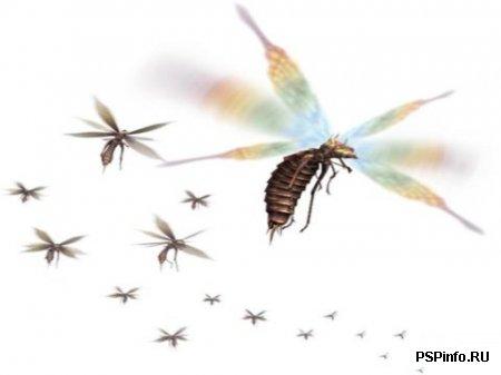     Monster Hunter Portable 2nd G