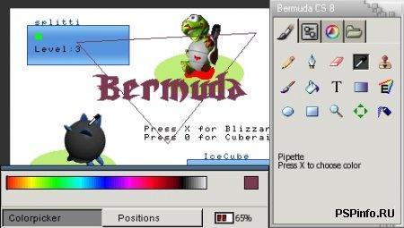 BermudaCS8 -    PSP