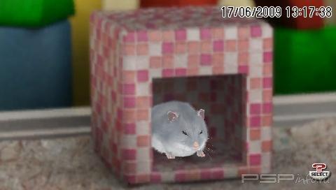 Petz My Baby Hamster