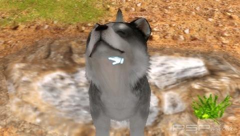 Petz My Puppy Family