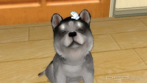 Petz My Puppy Family