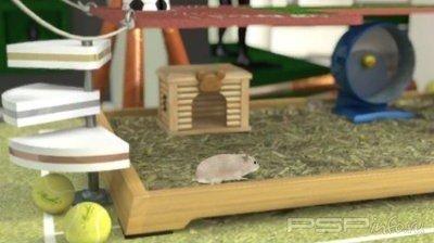 Petz Hamsterz Bunch [ENG]