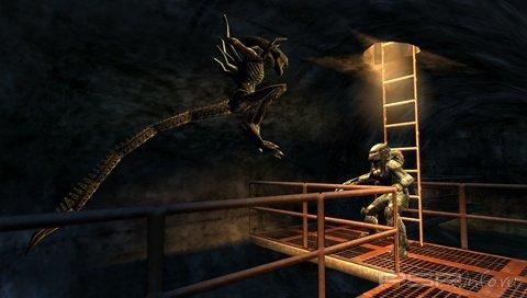 Aliens Vs Predator Requiem RUS
