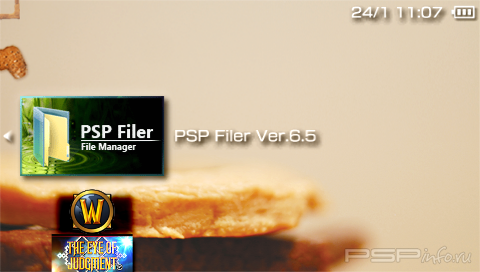 PSPFiler v6.5